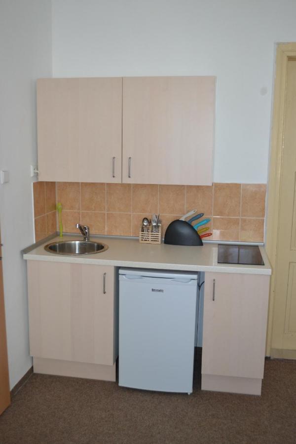 Hostel U Sv. Stepana Litoměřice Cameră foto
